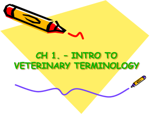 CH 1. – INTRO TO VETERINARY TERMINOLOGY