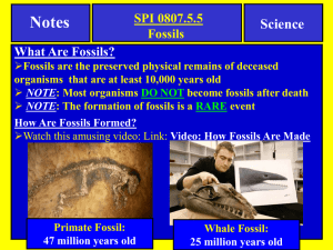 Notes-Types of fossils