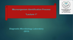 Microorganism Identification Process *Lecture 1*