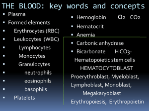 THE BLOOD: key words and concepts