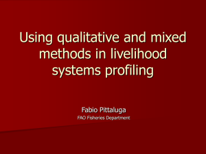 Using qualitative and mixed methods in livelihood systems profiling