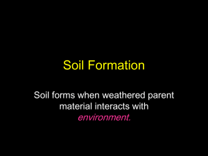 Factors of Soil Formation