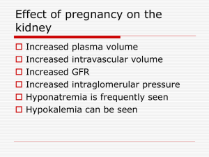 Effect of pregnancy on the kidney