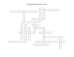 Animal Kingdom Review Puzzle