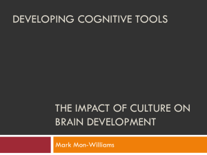 The impact of culture on brain development