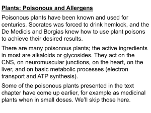 Plants: Poisonous and Allergens