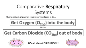 Comparative Respiratory Systems