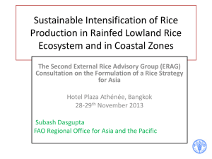 Sustainable Intensification of Rice Production in Rainfed