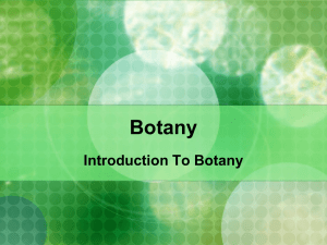 Botany - Images