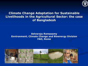 Climate Change Adaptation