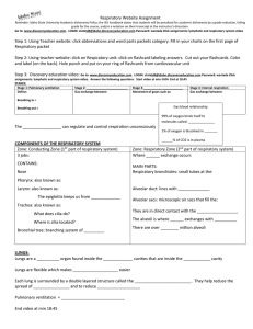 Respiratory Website Assignment