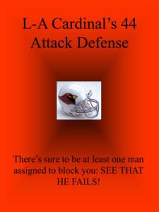 LA Cardinal 44 Attack Defense