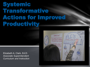 Systemic Transformative Actions for Improved Productivity