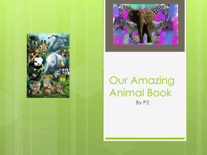 Our Amazing Animal Book