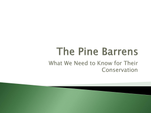 Saving the Pine Barrens