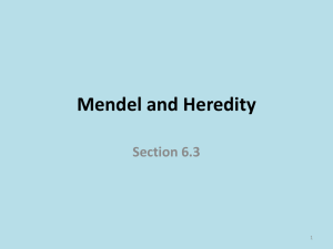 Section 6.3: Mendel and Heredity