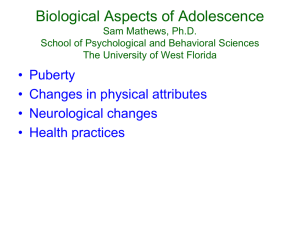 Chapter 2, Arnett, Biological Aspects of Adolescence