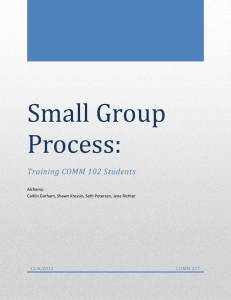 Small Group Process: - University of Wisconsin