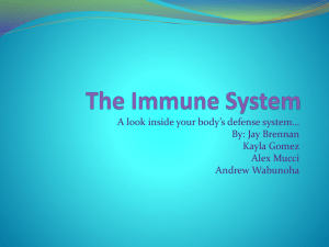 The Immune System