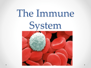 The Immune System - Mr. Sault's Classroom