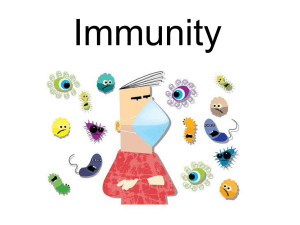 Immunity - Westford Academy Ap Bio