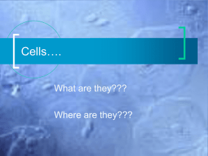 Cells….