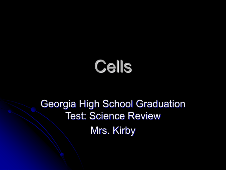 Cell Division Use In A Sentence