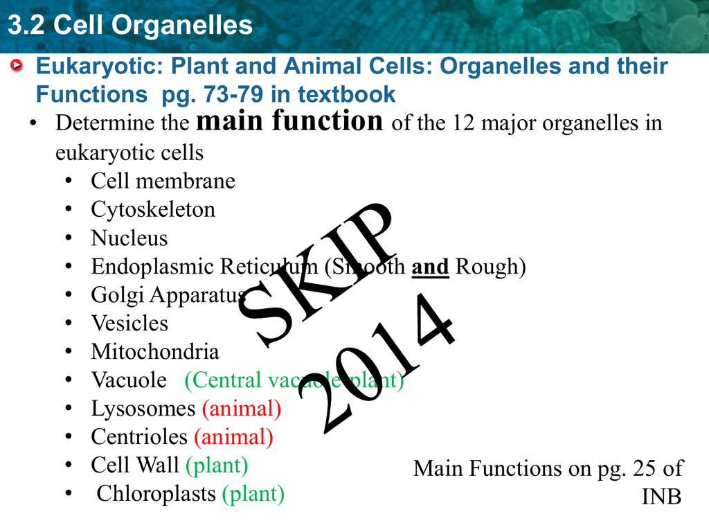  Cell Organelles