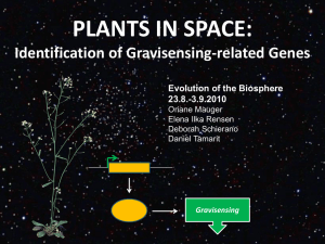 Identifying gravisensing-related genes