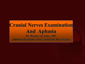 CNs Examination and aphasia
