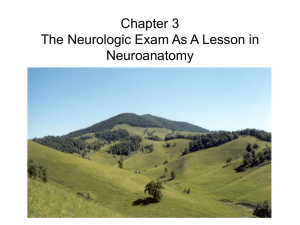 Chapter 3 The Neurologic Exam As A Lesson in Neuroanatomy