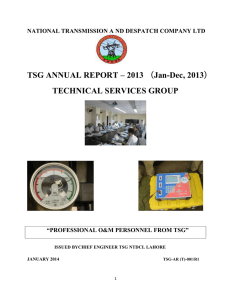 TSG Annual Report 2013