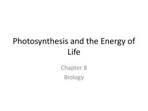 Photosynthesis and the Energy of Life