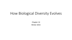 How Biological Diversity Evolves Ch 14