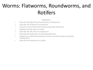 Chapter 36: Flatworms, Roundworms, and Rotifers