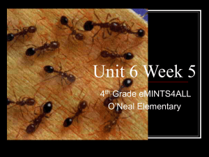 Unit 6 Week 5