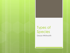 Types of Speciesgrace