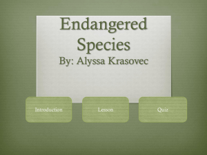 Endangered Species By - Alyssa Krasovec's E