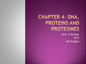 Chapter 3- DNA, Proteins and Proteomes