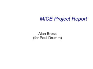MICE Project Report