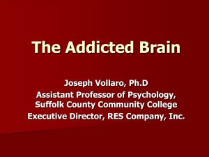 The Addicted Brain - Suffolk County Community College