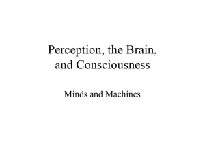 PerceptionBrainCsns - Cognitive Science Department