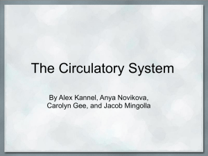 The_Circulatory_System-1