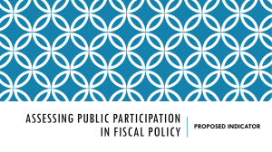 Assessing Public Participation In Fiscal Policy.