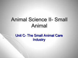 Animal Science- Small Animal