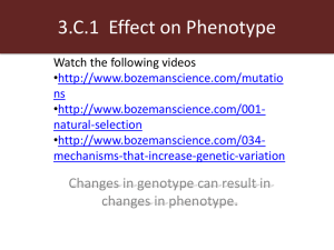 3.C.1 Effect on Phenotype