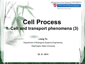 Cell Process_3