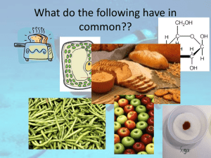 What is the structure of carbohydrates?