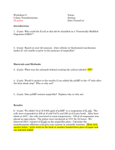 Worksheet 8: Bacterial Transformation