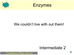 Enzymes - Northwest ISD Moodle
